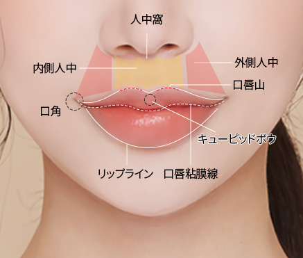 입꼬리성형
